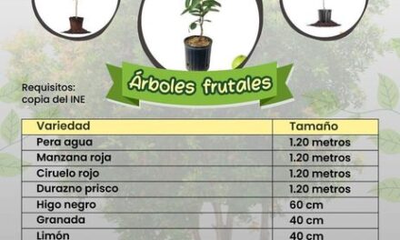 Adquiere paquetes de árboles frutales