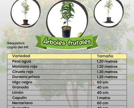 Adquiere paquetes de árboles frutales