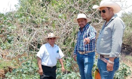 Santiago Hernández Cerón, realizó un recorrido de trabajo por el ejido del Xicuco