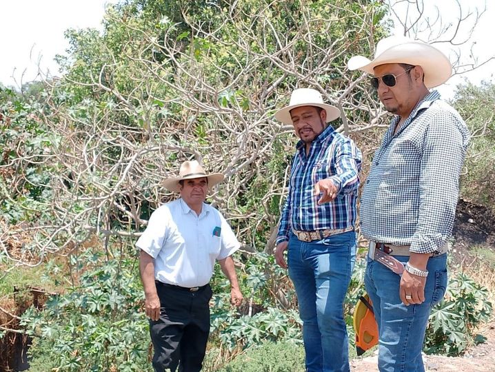 Santiago Hernández Cerón, realizó un recorrido de trabajo por el ejido del Xicuco