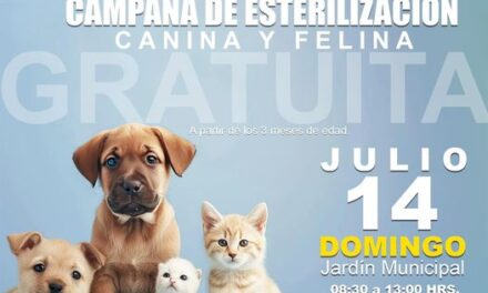 Campaña de esterilización canina y felina, domingo 14 de julio en el jardín municipal de Tepeji