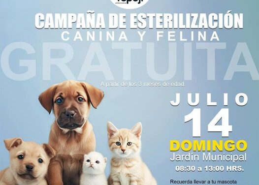 Campaña de esterilización canina y felina, domingo 14 de julio en el jardín municipal de Tepeji