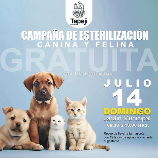 Campaña de esterilización canina y felina, domingo 14 de julio en el jardín municipal de Tepeji