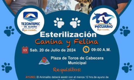 Campaña de esterilización canina y felina