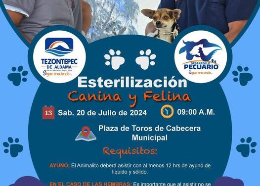 Campaña de esterilización canina y felina