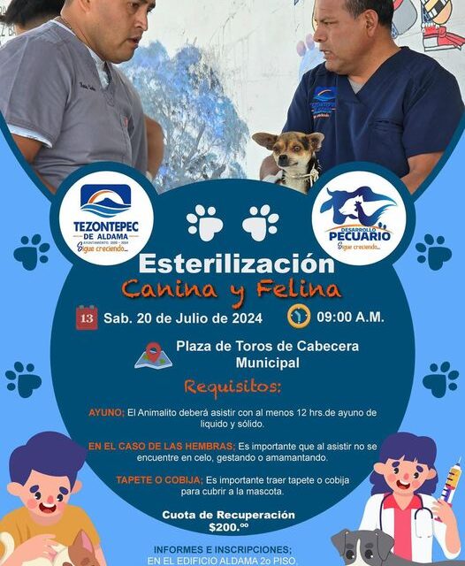 Campaña de esterilización canina y felina