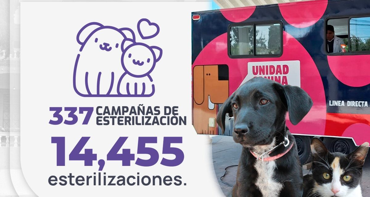 Durante esta administración, retomamos con éxito las campañas gratuitas de esterilización canina y felina, después de dos años de pausa.