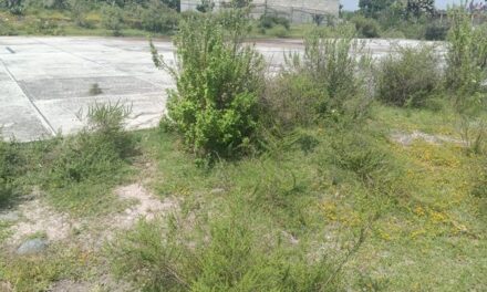 Tepeji del Río, trabaja en la rehabilitación de espacios deportivos en Santa Ana Azcapotzaltongo