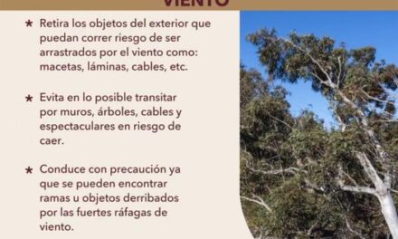 Recomendaciones de la Unidad Municipal de Protección Civil y Bomberos #TepejiDelRío ante esta temporada de lluvias y las crecientes ráfagas de viento.