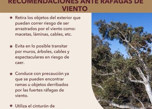 Recomendaciones de la Unidad Municipal de Protección Civil y Bomberos #TepejiDelRío ante esta temporada de lluvias y las crecientes ráfagas de viento.