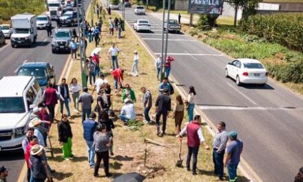 Inicia programa de reforestación en Tula de Allende