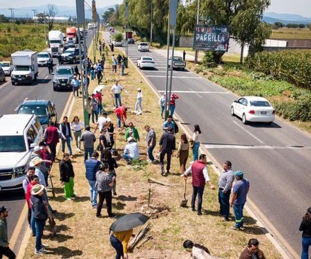 Inicia programa de reforestación en Tula de Allende