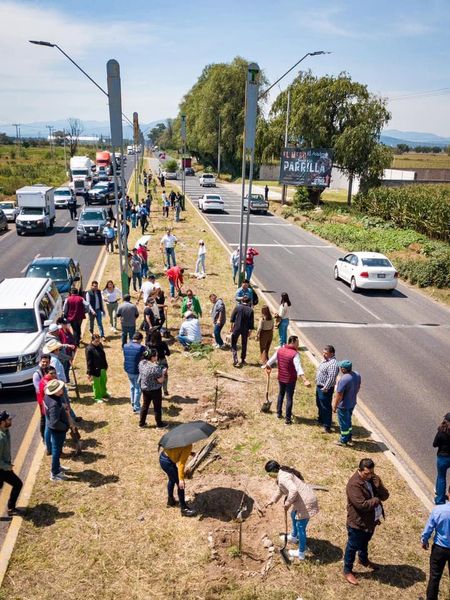 Inicia programa de reforestación en Tula de Allende