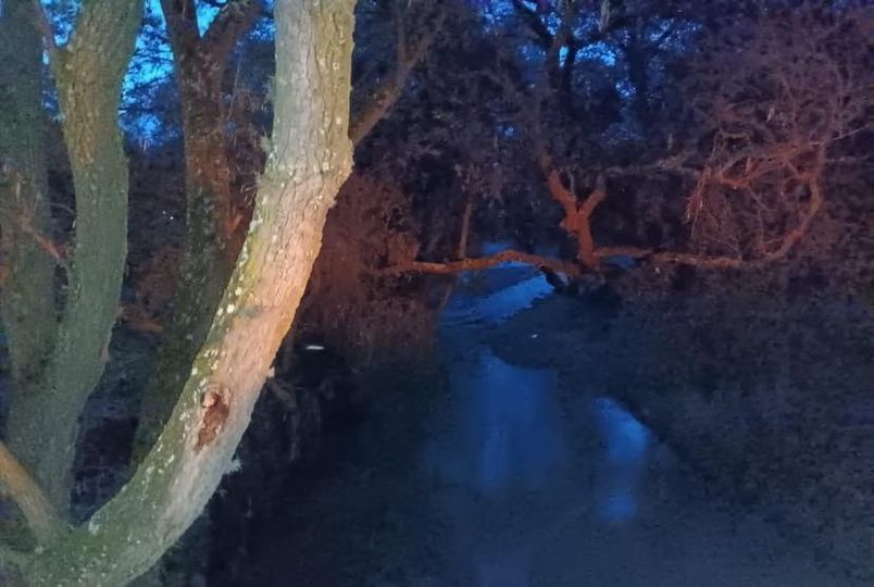 La Unidad Municipal de Protección Civil y Bomberos #TepejiDelRío, continúa con las labores de monitoreo de los Ríos del municipio, a forma de medida preventiva.