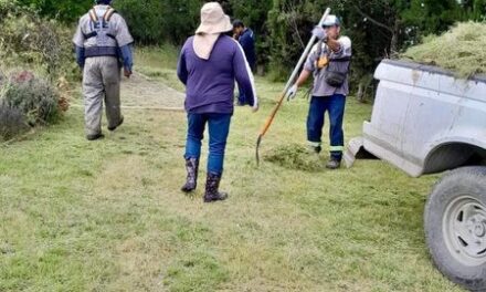 Caamtroh realiza labores de mantenimiento y limpieza en diversos puntos del municipio