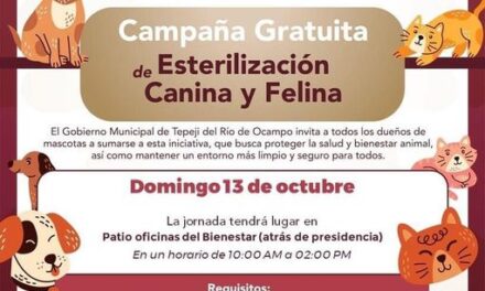 El Gobierno Municipal de Tepeji realizará campaña de esterilización gratuita