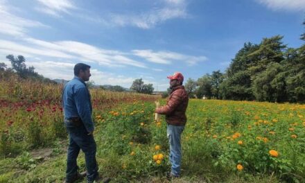 Inicia atención a productores agrícolas de Tepeji del Río