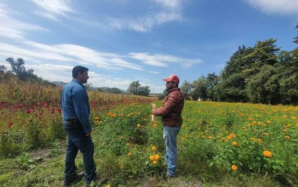 Inicia atención a productores agrícolas de Tepeji del Río