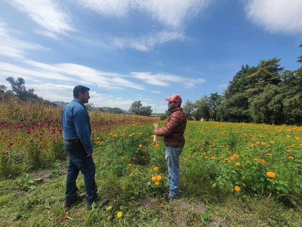 Inicia atención a productores agrícolas de Tepeji del Río