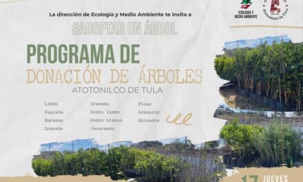 Adopta un árbol y ayuda a cuidar el medio ambiente