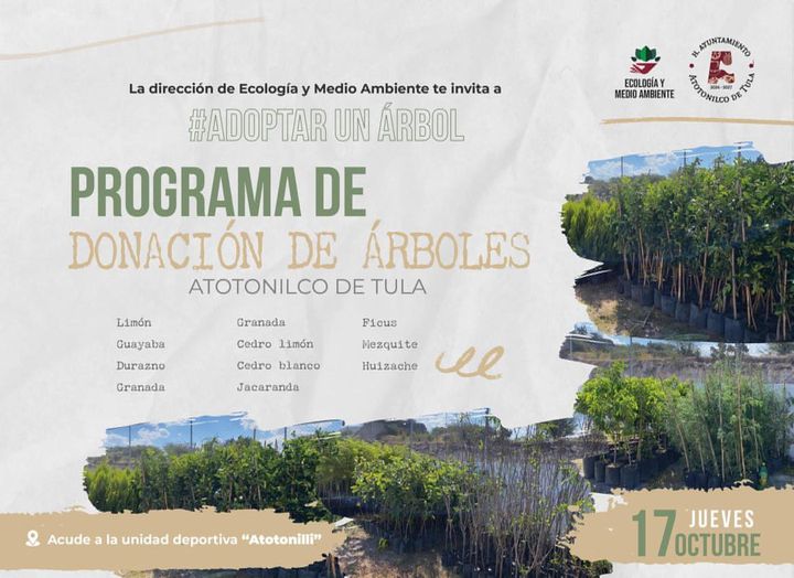 Adopta un árbol y ayuda a cuidar el medio ambiente