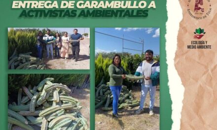 Entregan plantas de garambullo a activistas en Atotonilco de Tula