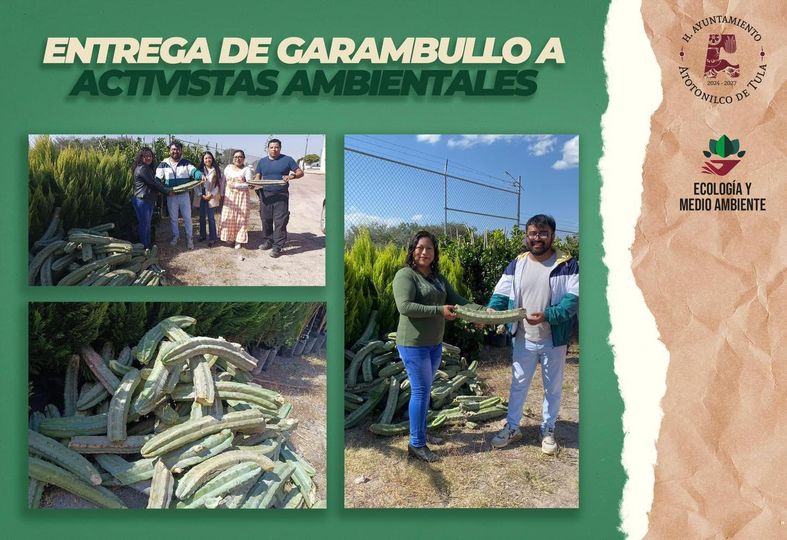 Entregan plantas de garambullo a activistas en Atotonilco de Tula