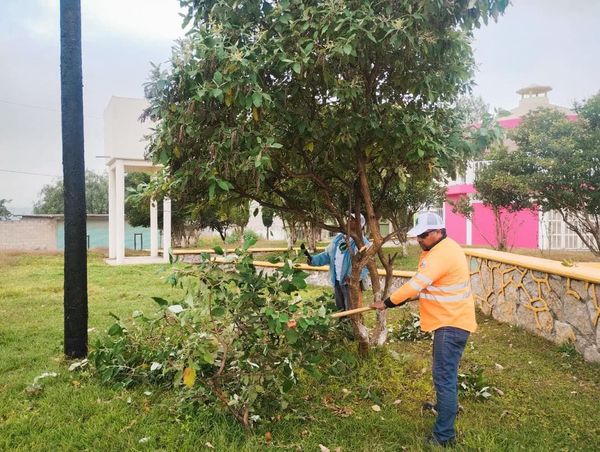 Realizan campaña de limpieza en San Antonio