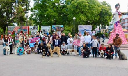 Realizan 3er Torneo de ajedrez y la Caminata canina con causa en Tula de Allende