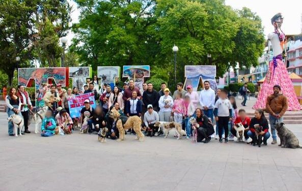 Realizan 3er Torneo de ajedrez y la Caminata canina con causa en Tula de Allende