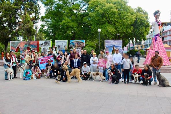 Realizan 3er Torneo de ajedrez y la Caminata canina con causa en Tula de Allende