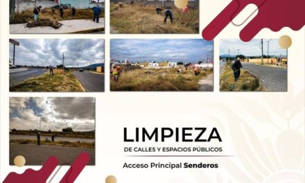 El gobierno de Atotonilco de Tula inició los trabajos de limpieza y poda en el acceso principal de la localidad de Senderos.