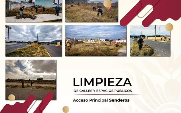 El gobierno de Atotonilco de Tula inició los trabajos de limpieza y poda en el acceso principal de la localidad de Senderos.