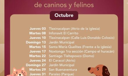 Campaña de Esterilización Gratuita en Tepeji del Río: ¡Cuida a tus Mascotas!