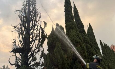 Controlado incendio en la Catedral de San José gracias a rápida intervención de cuerpos de emergencia