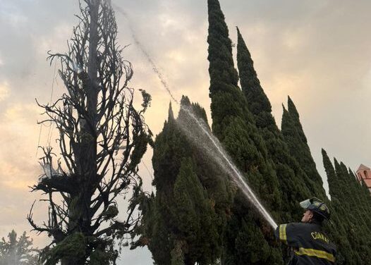 Controlado incendio en la Catedral de San José gracias a rápida intervención de cuerpos de emergencia