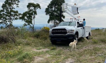 El gobierno de Tula de Allende continúa colocando lámparas y focos par mejorar la iluminación en diversas zonas del municipio