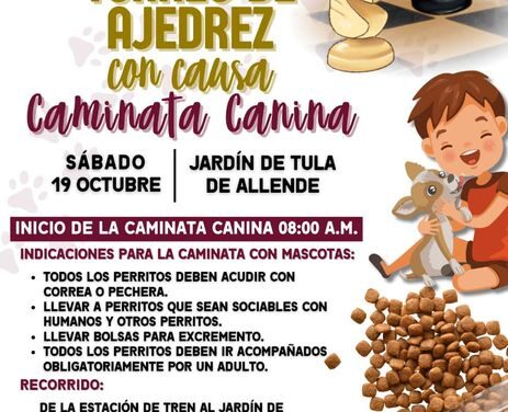 Organizan “3er Torneo de ajedrez y Caminata canina con causa” en Tula de Allende