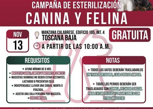 Campaña de esterilización canina y felina en Atotonilco de Tula