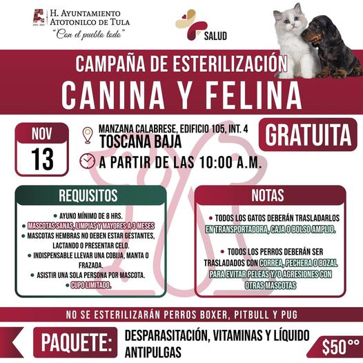 Este 𝟭𝟯 𝗱𝗲 𝗻𝗼𝘃𝗶𝗲𝗺𝗯𝗿𝗲 habrá 𝗖𝗮𝗺𝗽𝗮𝗻̃𝗮 𝗱𝗲 𝗘𝘀𝘁𝗲𝗿𝗶𝗹𝗶𝘇𝗮𝗰𝗶𝗼́𝗻 𝗖𝗮𝗻𝗶𝗻𝗮 𝘆 𝗙𝗲𝗹𝗶𝗻𝗮 𝗚𝗥𝗔𝗧𝗨𝗜𝗧𝗔 en 𝗔𝘁𝗼𝘁𝗼𝗻𝗶𝗹𝗰𝗼 𝗱𝗲 𝗧𝘂𝗹𝗮