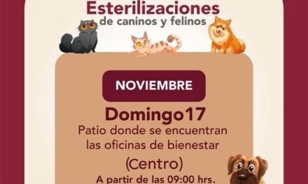 El día de mañana 17 de noviembre, habrá esterilizaciones felinas y caninas gratuitas en #TepejiDelRío.