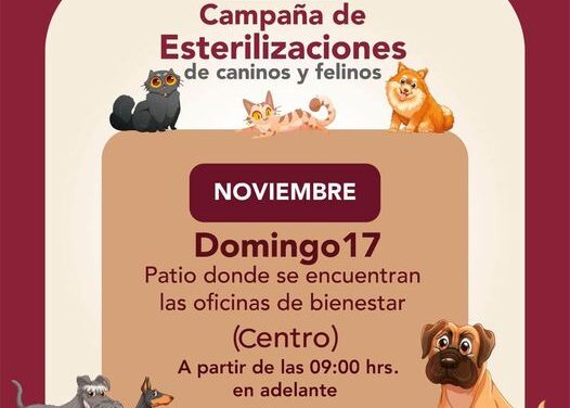 El día de mañana 17 de noviembre, habrá esterilizaciones felinas y caninas gratuitas en #TepejiDelRío.