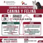 ¡Nueva Fecha para la Campaña de Esterilización Canina y Felina en #AtotonilcoDeTula!