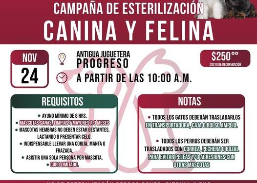 ¡Nueva Fecha para la Campaña de Esterilización Canina y Felina en #AtotonilcoDeTula!