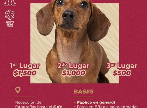 Particiapa en el Concurso de Fotografía de MAscotas que organiza el municipio de #AtotonilcoDeTula