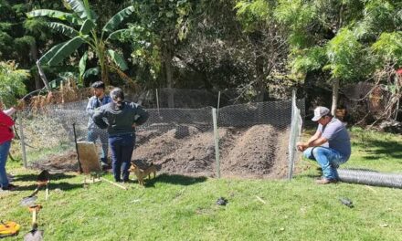 Instalan huerto familiar en comunidad de Tepeji del Río