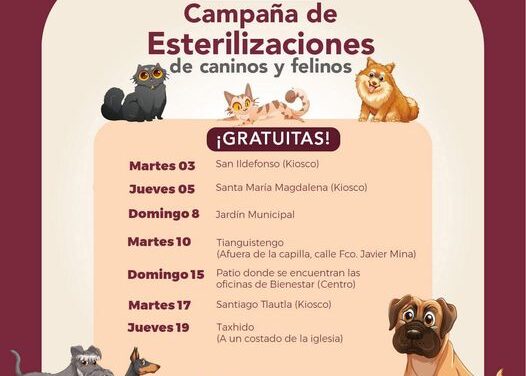 Conoce el calendario de esterilización gratuita felina y canina en Tepeji del Río