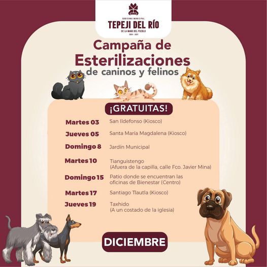 Conoce el calendario de esterilización gratuita felina y canina en Tepeji del Río