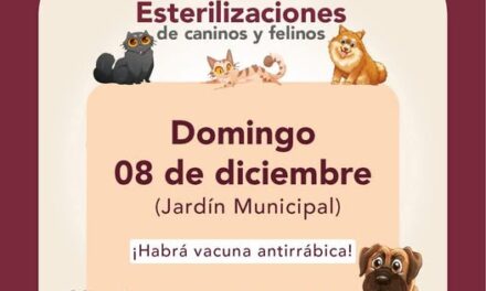 Mañana domingo habrá esterilizaciones gratuitas de felinos y caninos en #TepejiDelRío.