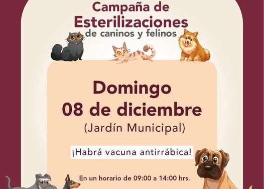 Mañana domingo habrá esterilizaciones gratuitas de felinos y caninos en #TepejiDelRío.